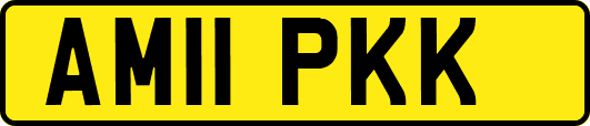 AM11PKK