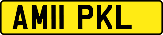 AM11PKL