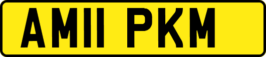 AM11PKM