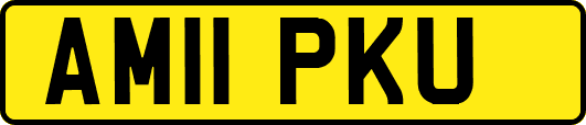 AM11PKU