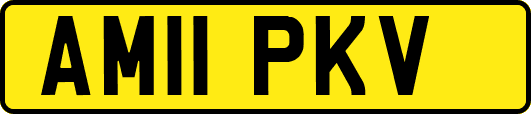 AM11PKV