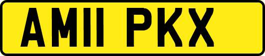 AM11PKX