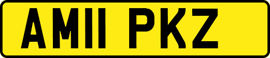 AM11PKZ