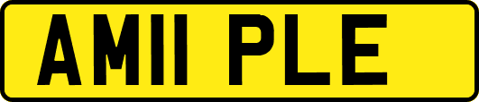 AM11PLE