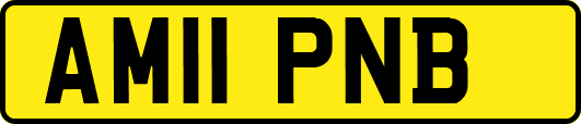 AM11PNB