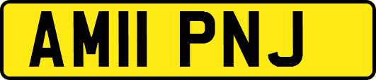 AM11PNJ