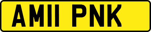 AM11PNK