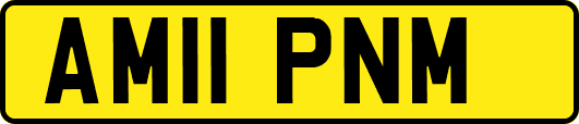AM11PNM