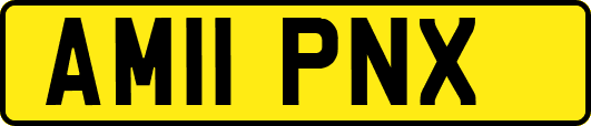 AM11PNX
