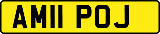 AM11POJ