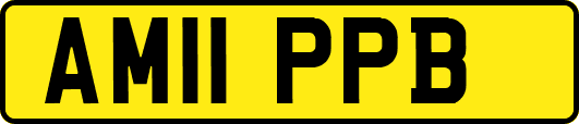 AM11PPB