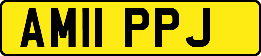 AM11PPJ