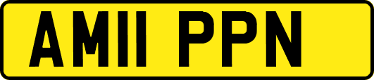 AM11PPN