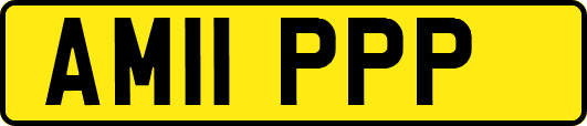 AM11PPP