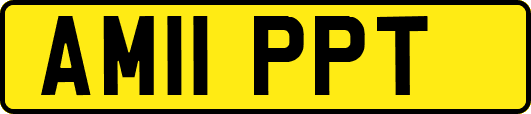 AM11PPT