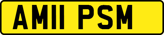 AM11PSM