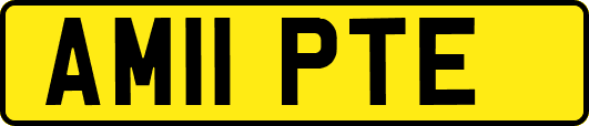 AM11PTE