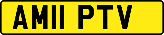 AM11PTV