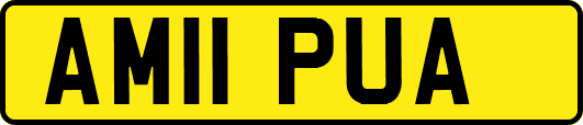 AM11PUA