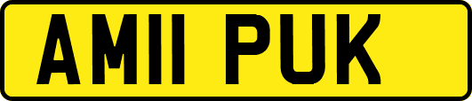 AM11PUK