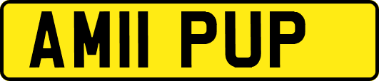 AM11PUP
