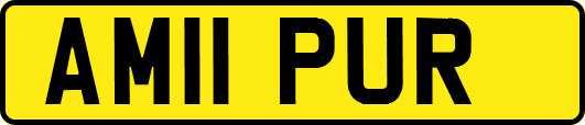 AM11PUR