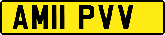 AM11PVV