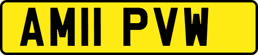 AM11PVW