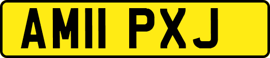 AM11PXJ