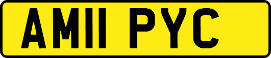 AM11PYC