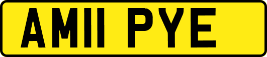 AM11PYE