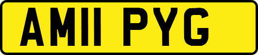 AM11PYG