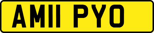 AM11PYO