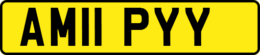 AM11PYY