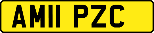 AM11PZC