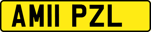AM11PZL