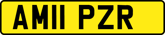 AM11PZR