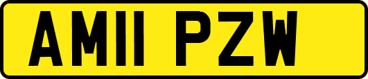 AM11PZW