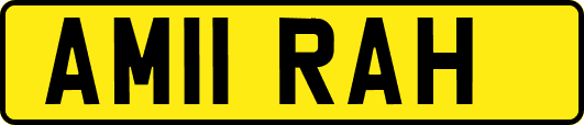 AM11RAH