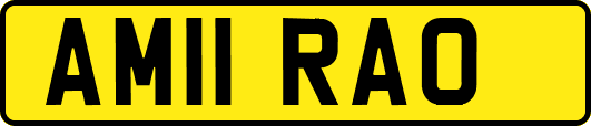 AM11RAO