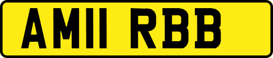 AM11RBB