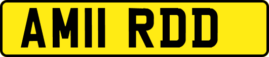 AM11RDD