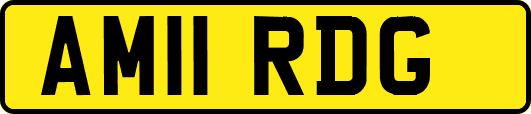 AM11RDG