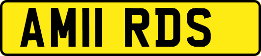 AM11RDS