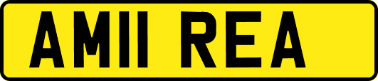 AM11REA