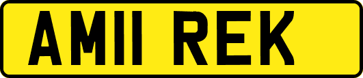 AM11REK