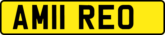 AM11REO