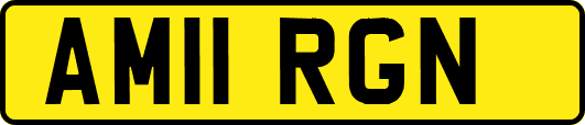AM11RGN