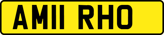 AM11RHO