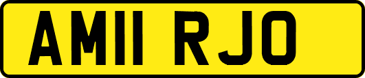 AM11RJO